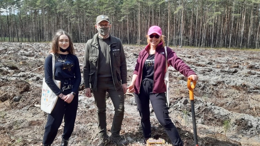 Posadzili ponad 2 tysiące drzewek w Lublińcu. Udana akcja...