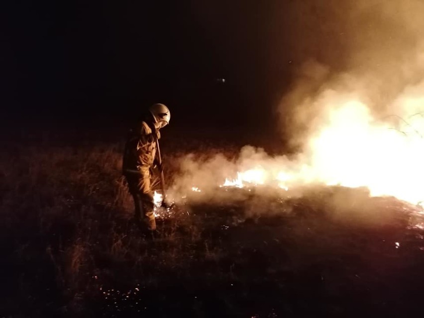 Ogromny pożar w Krygu. Strażacy walczyli z płonącą dwuhektarową łąką. Na miejscu działało kilkunastu ratowników