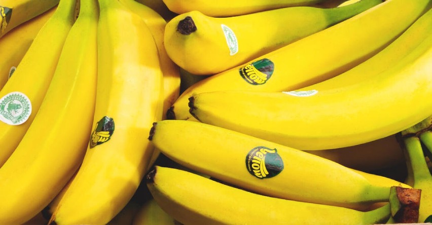 Banany Yellow, które z Ekwadoru, Kolumbii i Nikaragui...