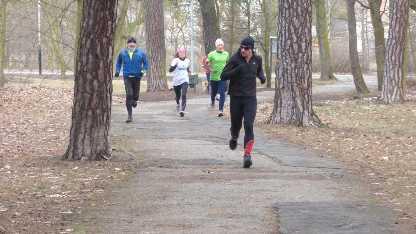 Parkrun Bydgoszcz. Doskonały czas zwycięzcy! [zdjęcia, wideo, wyniki]