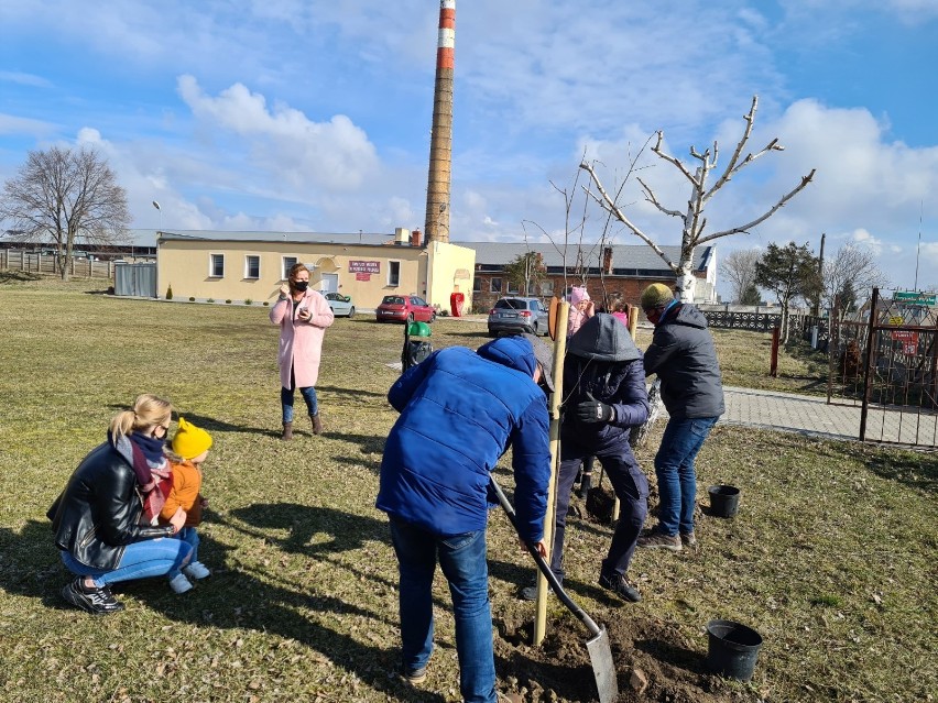 Akcja "Drzewko Życia" w gminie Śmigiel