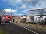 Pożar poddasza domu jednorodzinnego w Osłowie [zdjęcia]