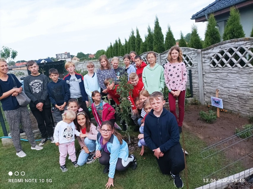 ZSP Przyprostynia, gmina Zbąszyń. Uczniowie sadzili krzewy...