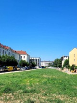 Kraków. Przy ulicy Karmelickiej był beton, zaorali i mamy... trawę!