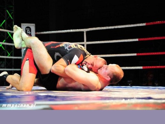 walka mma, mma, night of championsa