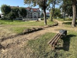 Osiedlowy teren zielony w Tczewie zyska nowe oblicze 