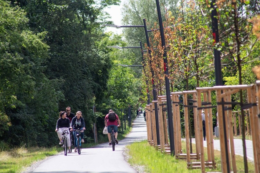 Cała trasa Promenady Krzyckiej ma mieć 7,5 kilometra,...