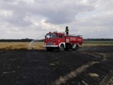 Ochotnicy z Dziadowej Kłody zbierają na nowy wóz strażacki. Potrzeba ogromnej sumy pieniędzy!