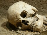 Na bydgoskich Jachcicach znaleziono ludzkie szczątki