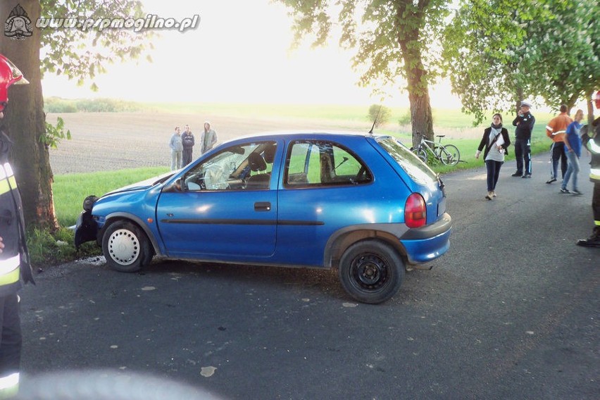 Wypadek koło miejscowości Palędzie Kościelne. 5 osób rannych [ZDJĘCIA]