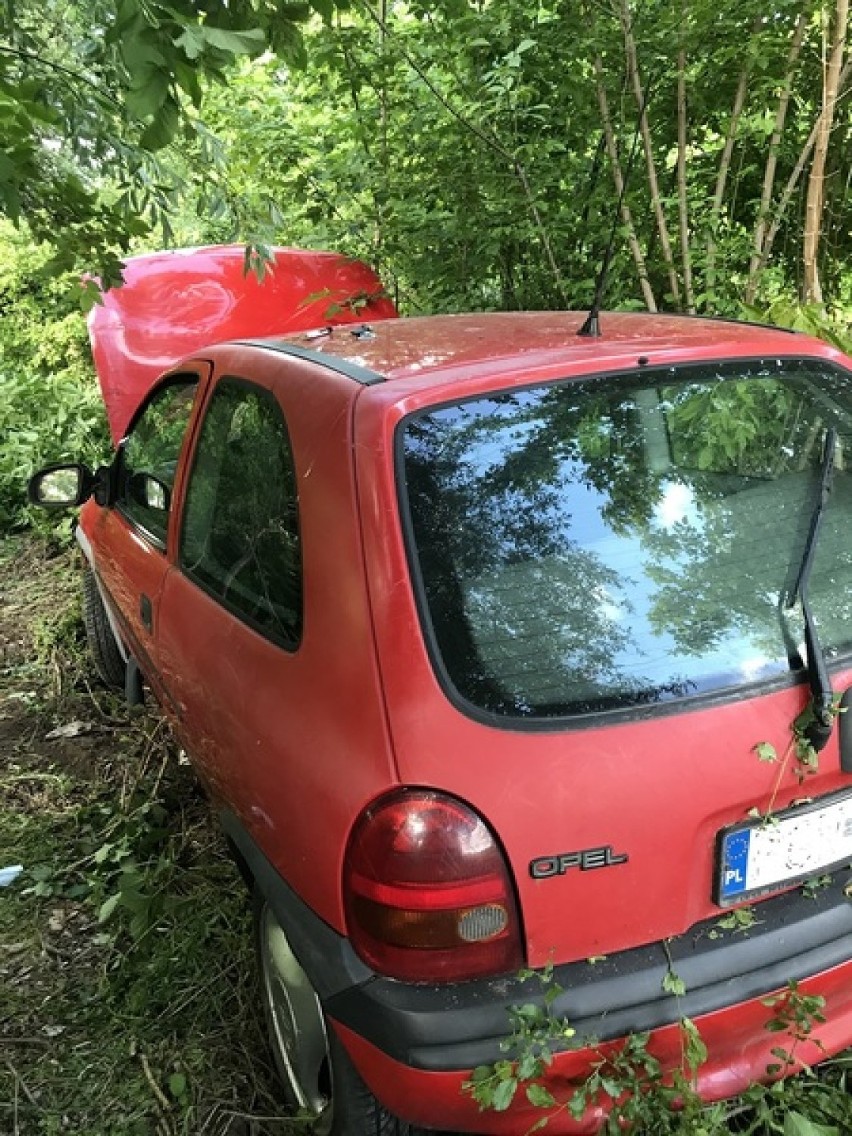 Zieleń: kierowca wypadł z drogi prosto w krzaki