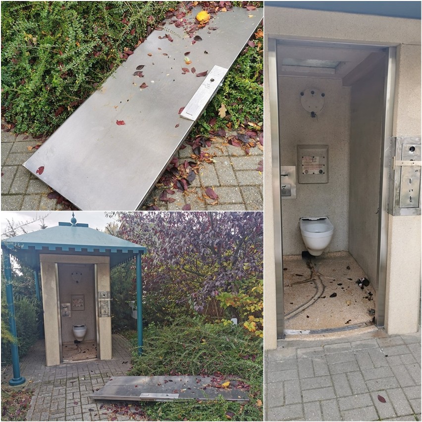Zniszczona toaleta w parku Miejskim w Legnicy