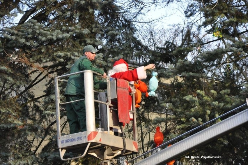 Tradycji stanie się zadość! Mieszkańcy LSM wezmą udział w świątecznej zabawie 