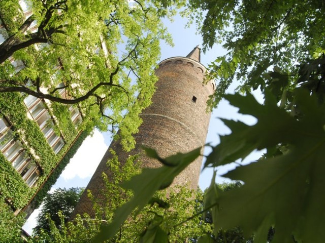 Wieża Piastowska, fot. Witold Chojnacki