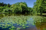 Wałbrzych na weekend. Malownicze Wzgórze Gedymina! Posprzątane, piękne miejsce na piknik [ZDJĘCIA]