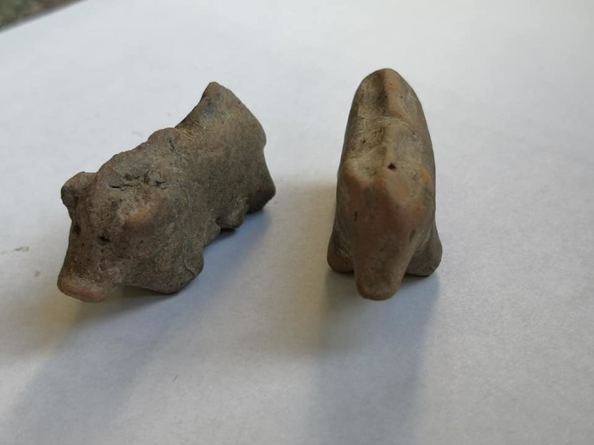 Kolejne odkrycia  archeologiczne w Maszkowicach. Figurki mają ponad 3,5 tysiące lat [ZDJĘCIA]