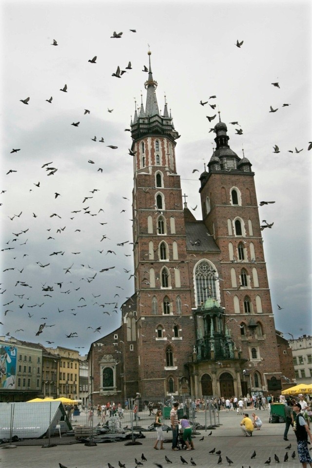 Jest to jeden z najbardziej rozpoznawalnych zabytków w Polsce. Usytuowany jest w samym centrum miasta – na krakowskim rynku. Najważniejszym i najcenniejszym zabytkiem kościoła Mariackiego jest ołtarz główny, arcydzieło Wita Stwosza, największe dokonanie rzeźbiarskie późnego średniowiecza. Monumentalny ołtarz powstawał w latach 1477-1489. Jego konstrukcja wykonana z dębu liczy 13 metrów wysokości i 11 metrów szerokości. Dwa ruchome i dwa nieruchome skrzydła ołtarza wypełniają sceny z życia Matki Boskiej i Jezusa – w sumie ponad 200 postaci wyrzeźbionych w lipowych klocach. W podstawie ołtarza Stwosz zobrazował Drzewo Jessego, czyli genealogię Marii i Jezusa, zaś ołtarz wieńczy scena koronacji Matki Boskiej i figury patronów Polski: św. Wojciecha i św. Stanisława. Poza ołtarzem warto także zobaczyć Kościół od zewnątrz, wyższą wieżę Mariacką i dzwonnicę Mariacką.