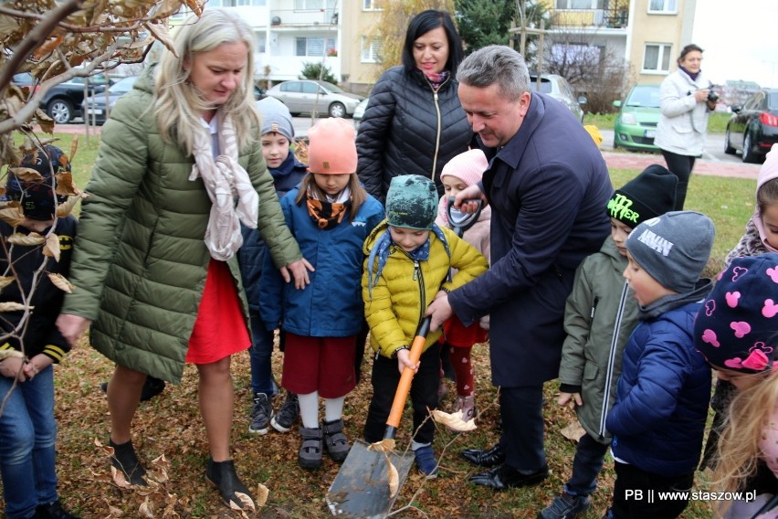 Staszowskie przedszkolaki sadziły drzewa i krzewy dla pszczół. Pomagali burmistrzowie (ZDJĘCIA)