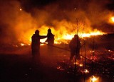 Pożar w Jankowicach. Ogień w składzie celulozy