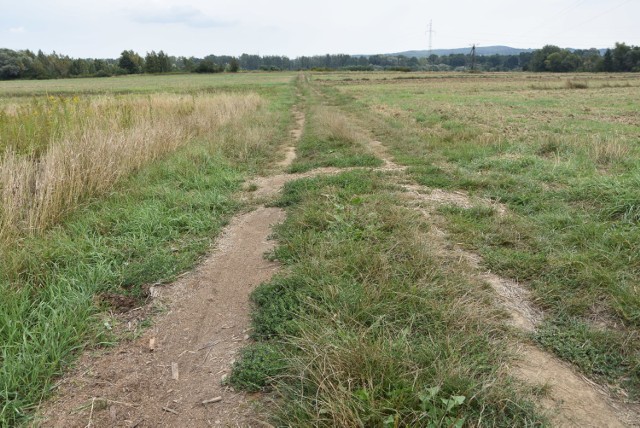 Do dramatycznych wydarzeń doszło na zwykłej polnej drodze