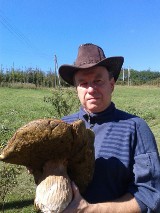 Grzybobranie 2013: grzybiarz z Ptaszkowej znalazł gigantycznego borowika [ZDJĘCIA]