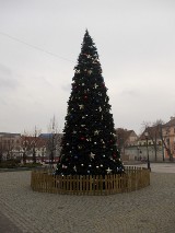 Na Starym Rynku stoi już wielka choinka. Rozbłyśnie w Mikołajki