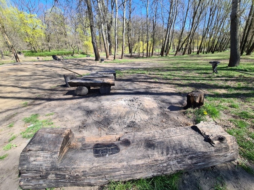 Miejsca do grillowania i rozpalania ognisk nad Martówką