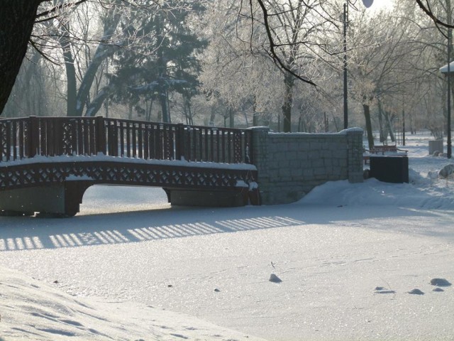 Park Miejski w Zduńskiej Woli w zimowej odsłonie