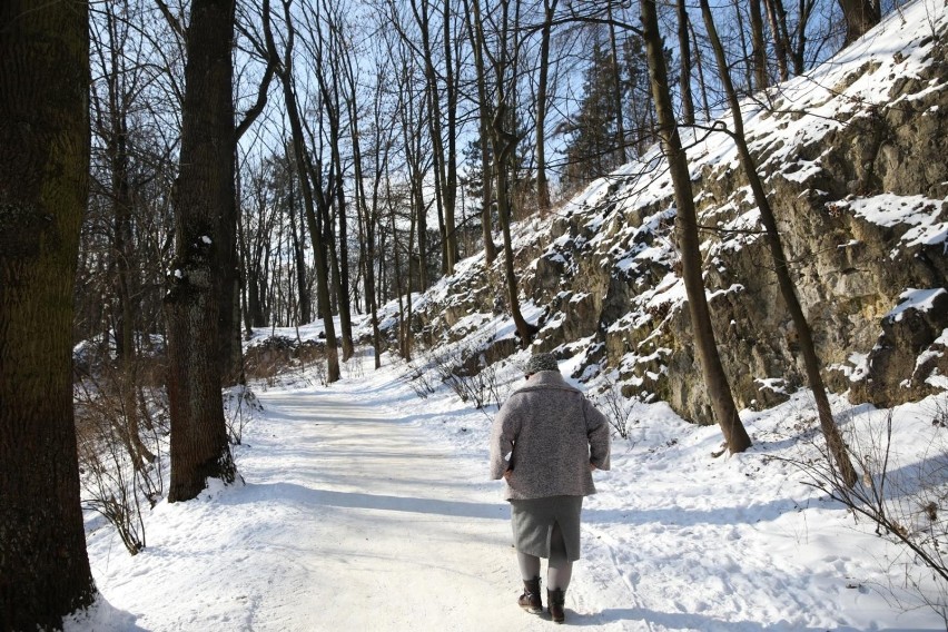 Park Bednarskiego