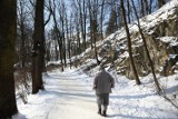 Remont zabytkowego parku Bednarskiego. Naukowcy z AGH opracowali trzy koncepcje zabezpieczenia ścian 