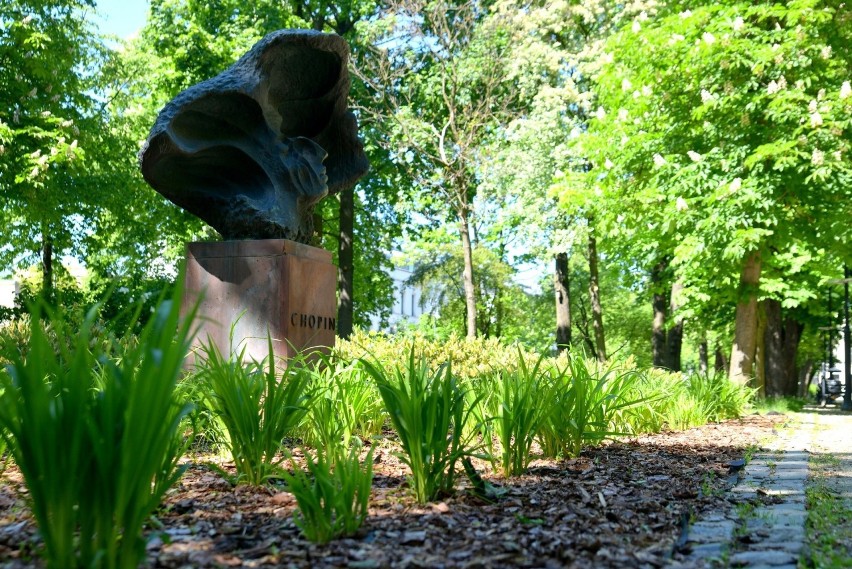 Pomnik Fryderyka Chopina w parku im. Tadeusza Kościuszki.