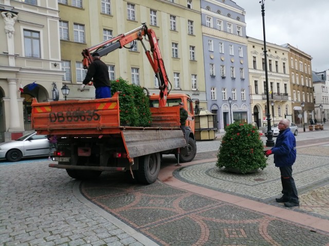 Kwiaty każdemu miejscu dodają uroku. Wałbrzyski rynek stał się kolorowy i jest tu przyjemniej.