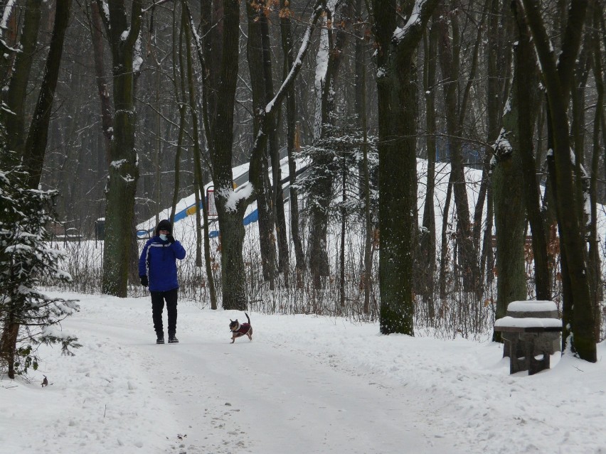 Pabianice. Zima w pabianickich parkach ZDJĘCIA