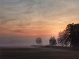 Poranek koło Nowej Soli. Zobacz piękne mgły z Niedoradza na zdjęciach Łukasza Wojtasika 