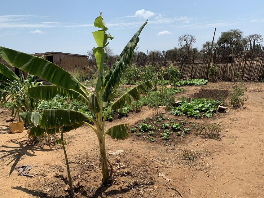 Na Madagaskarze budują drugą studnię ze zbiórek pieniędzy prowadzonych w Głogowie i okolicy