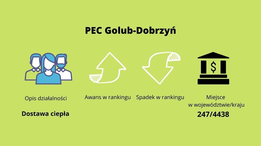 TOP firmy w powiecie golubsko-dobrzyńskim. Zobacz kto jest w rankingu "Gazele Biznesu"