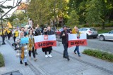 Głogowianie demonstrowali swoje poparcie dla obecność Polski w UE. W ulicznym proteście przeszło blisko 100 osób