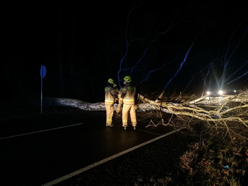 Silny wiatr łamał drzewa. Interwencje strażaków z Radomska i powiatu radomszczańskiego