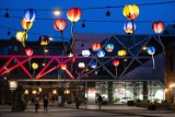 Rozświetlona Praga-Północ. Kolorowe lampiony w kształcie tulipanów i motyli ozdobiły Centrum Praskie Koneser
