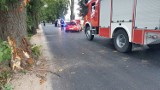 Samochód rozbity na drzewie w Litewkach [ZDJĘCIA]