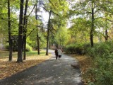 Gdzie wybrać się na spacer w Poznaniu? Oto parki, do których zawitała jesień
