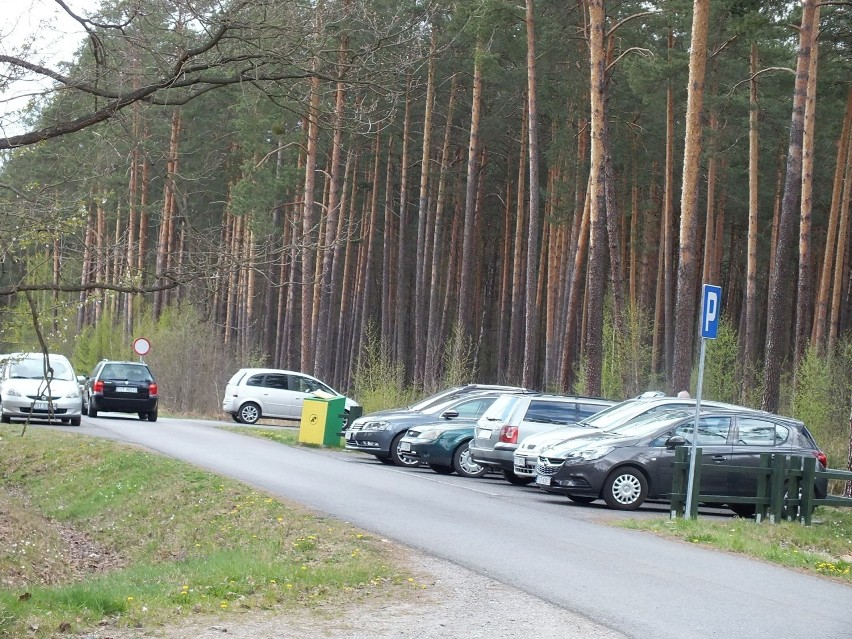 Sprawdziliśmy, że w minioną sobotę i niedzielę na leśnych...