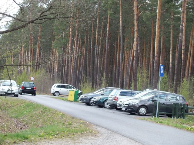 Sprawdziliśmy, że w minioną sobotę i niedzielę na leśnych parkingach Nadleśnictwa Starachowice, przy asfaltowanych drogach leśnych, prawie cały dzień był komplet samochodów. Najwięcej było w niedzielę po południu.

Spacerowały całe rodziny z dziećmi i psami. Dzieci korzystały z hulajnóg, rowerków, deskorolek, a nawet z zabawy na świeżym powietrzu. Na jednym ze zjazdów przy drodze pożarowej numer 9 znaleźliśmy świeży rysunek do gry w klasy. 

Nieliczni spacerowicze woleli zaparkować samochody przy nieutwardzonych drogach leśnych i spacerowali samotnie, bez maseczek. Natomiast udzie spacerując liczniej, po asfaltowanych drogach w lasach Nadleśnictwa Starachowice, mijają się w odległości kilku metrów. 

Większość z nich na ten moment zakłada maseczki, przestrzegając 
nadal obowiązujących obostrzeń. Jednak część z nich nie stosuje maseczek nawet przy mijaniu się. Podobnie czynią dorośli rowerzyści. Poza zdawkowym pozdrowieniem, nie ma rozmów i dyskusji nawet wśród znajomych spacerujących.

/CuK/

>>> ZOBACZ WIĘCEJ NA KOLEJNYCH ZDJĘCIACH 