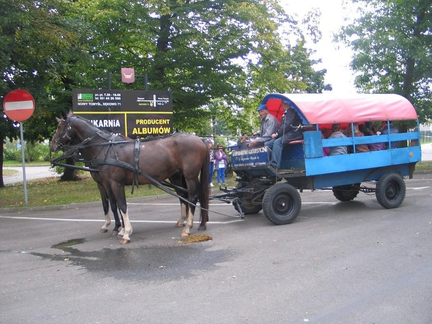 Nowy Tomyśl. Europejski Dzień Bez Samochodu 2012 [FOTO]