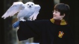 Serial Harry Potter od HBO powstaje. Kiedy premiera nowej ekranizacji książek?
