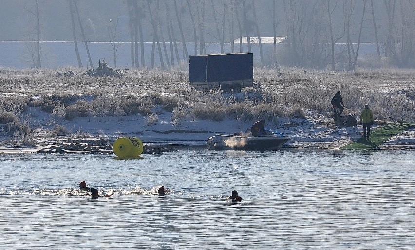 Przeprawa morsów przez Wisłę w Sandomierzu (zdjęcia)