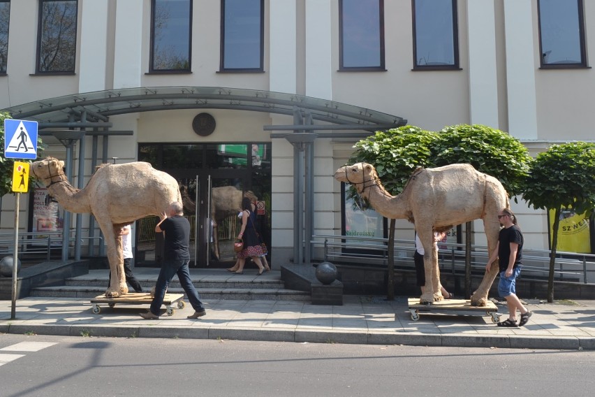 Teatr Zagłębia na Patelni. To początek obchodów 120-lecia [ZDJĘCIA]