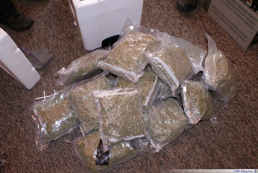 Funkcjonariusze przejęli marihuanę wartą prawie 230 tysięcy złotych [zdjęcia]
