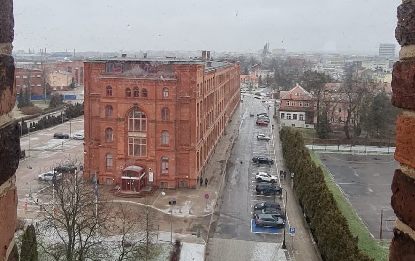 Mikołaj Kopernik zaprasza na swoje urodziny do Elbląga! ZDJĘCIA