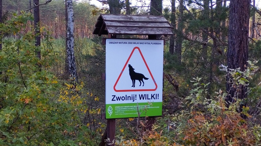 Specjalne tablice rozstawione przez RDOŚ na obszarze natura...